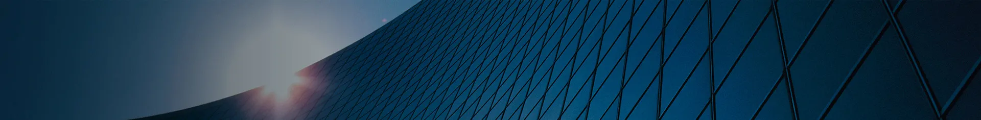 Company Profile